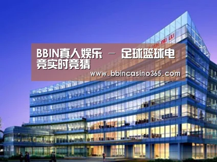 案例展示五