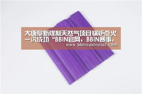 大唐阜新煤制天然气项目锅炉点火一次成功“BBIN官网,BBIN赛事,BBIN真人,BBIN电竞”(图1) BBIN官网,BBIN赛事,BBIN真人,BBIN电竞