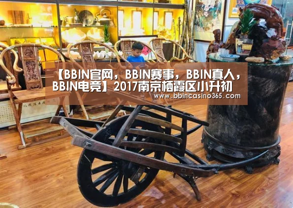 【BBIN官网,BBIN赛事,BBIN真人,BBIN电竞】2017南京栖霞区小升初政策-南京小升初(图2) BBIN官网,BBIN赛事,BBIN真人,BBIN电竞